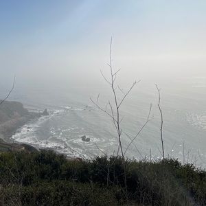 Meet your Posher, Angely